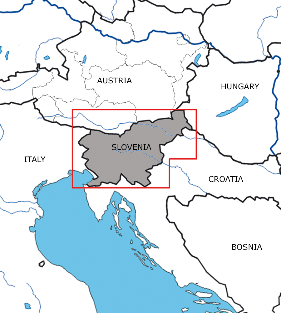 Coupe feuille de la Slovenie la carte VFR en 200k
