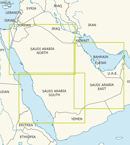 Coupe feuille d'Arabie Saoudite en 500k